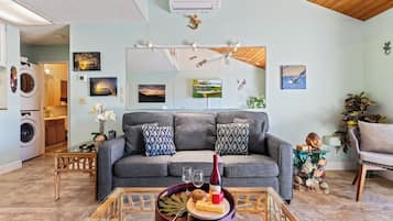 Smart TV, video games, DVD player, books