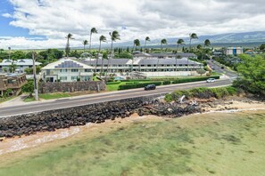 A coastal hotel with a road in front, a rocky shoreline, and palm trees.