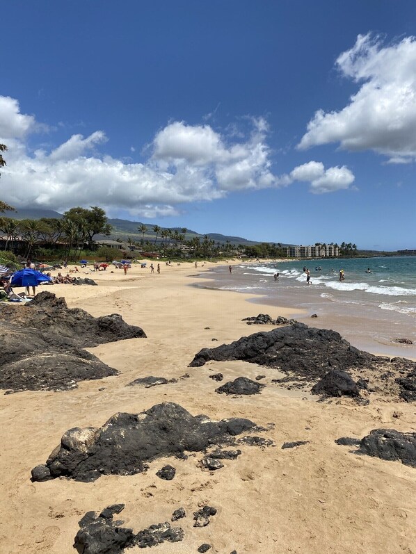 Beach nearby, sun loungers, beach towels