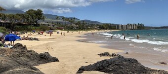 Oceanview 2 + 2 Fabulous Condo! Best Value  Walk to Everything