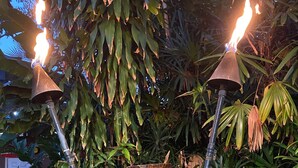Una escultura de antorcha tiki rodeada de exuberante follaje y un pequeño estanque.