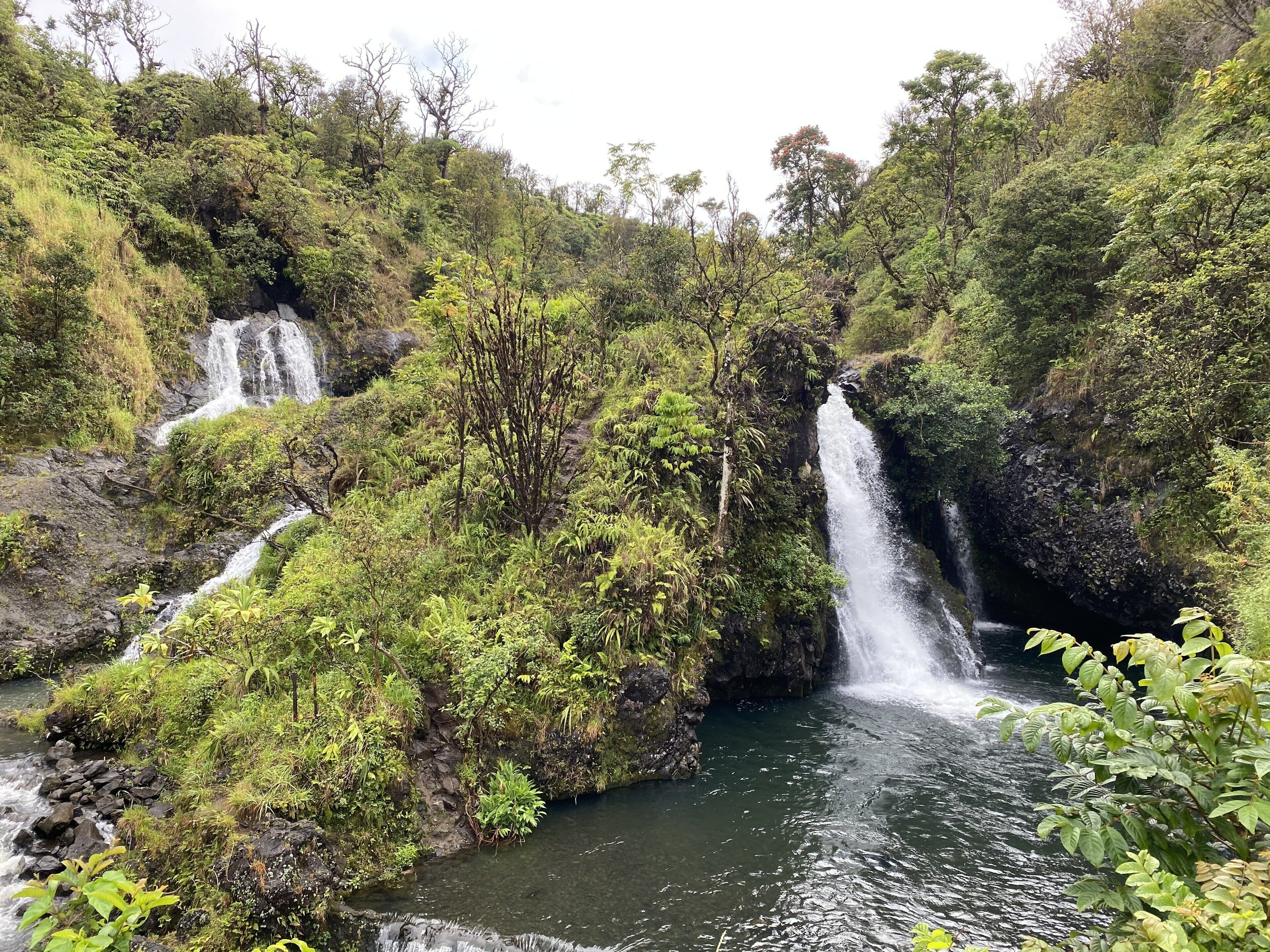 A natural waterfall surrounded by lush greenery.