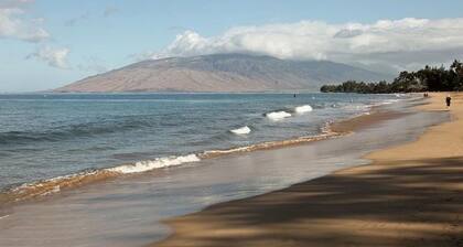 Oceanview 2 + 2 Fabulous Condo! Best Value Walk to Everything