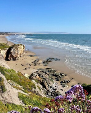 A coastal beach with a rocky outcrop, a pier in the distance, and wildflowers in the foreground. - WALK to Beach, Pier and Downtown - Parking - BBQ - View (Pismo Beach)