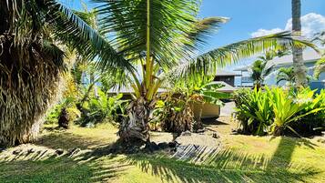 Un jardín tropical con palmeras, un sendero de piedra y un edificio al fondo.