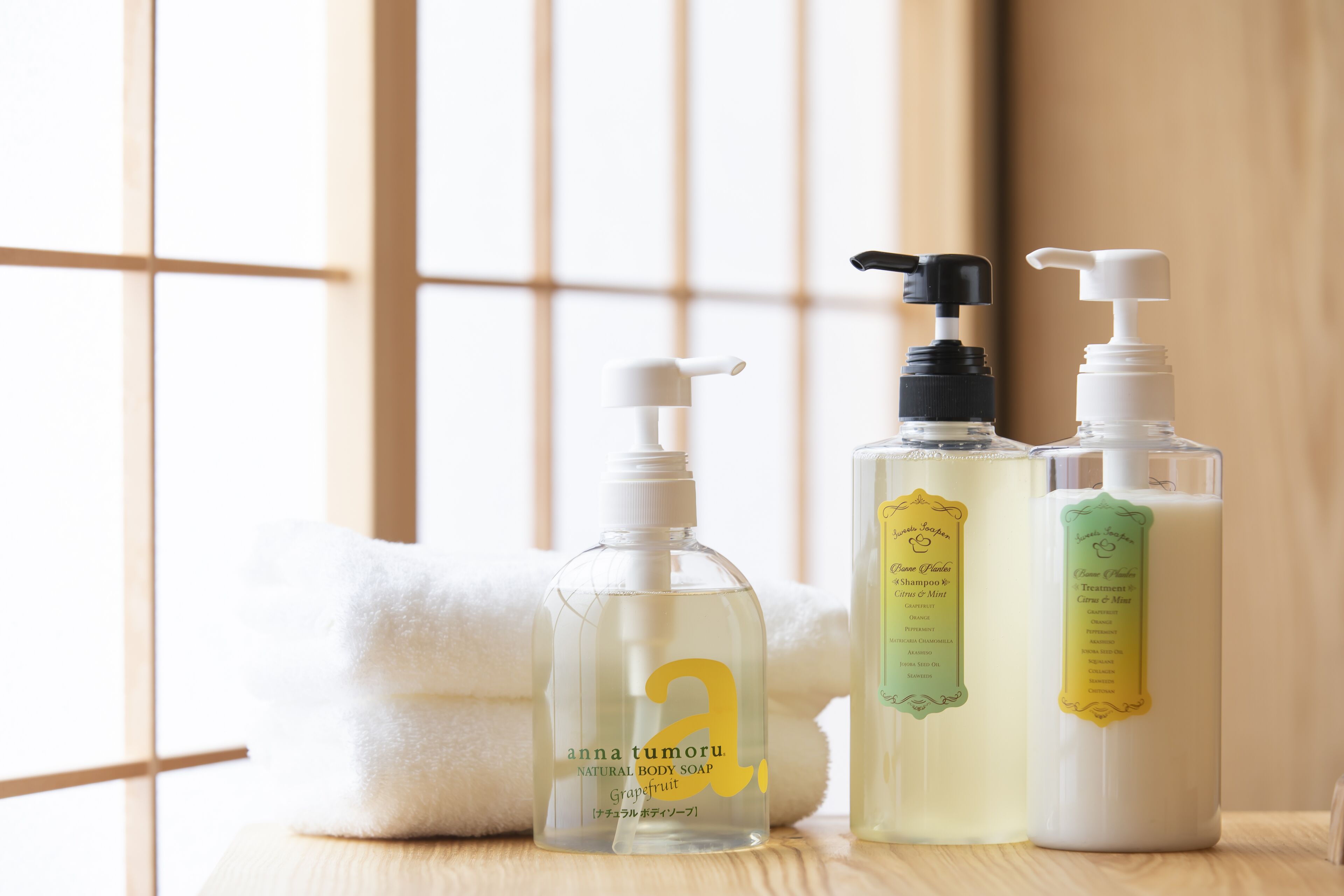 combined shower/bathtub, free toiletries, hair dryer, slippers