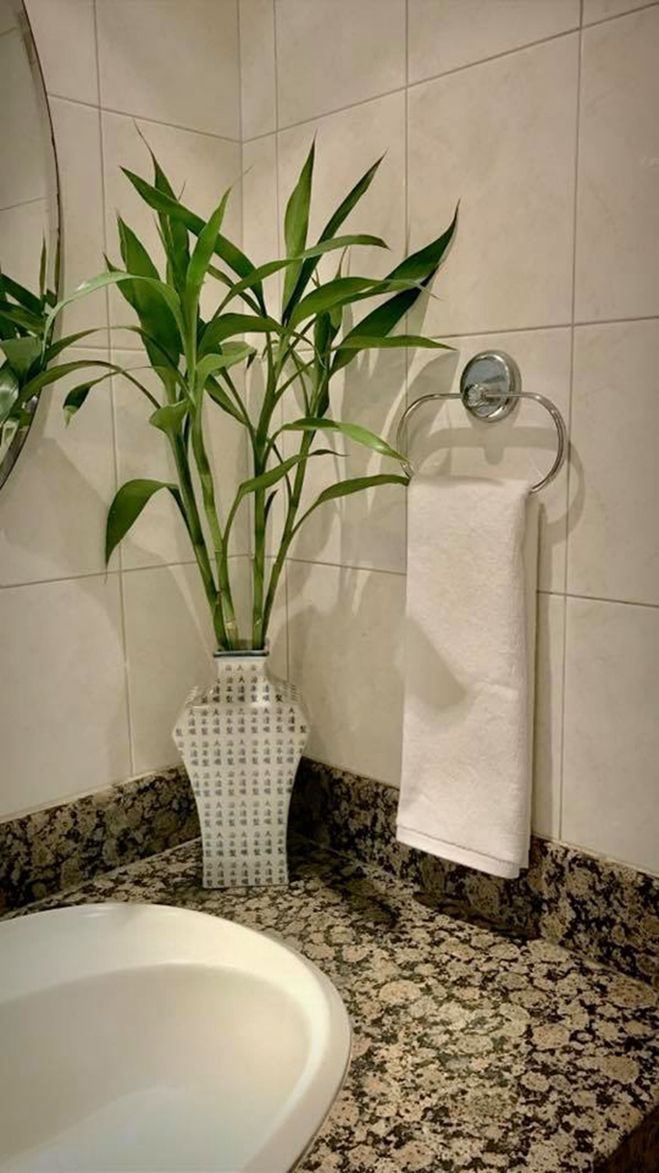 Foto - Surin Bay Inn