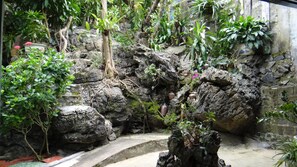 A rock garden with various plants and a small water feature. - Huong Thao 2 Hotel (Ha Giang 2)