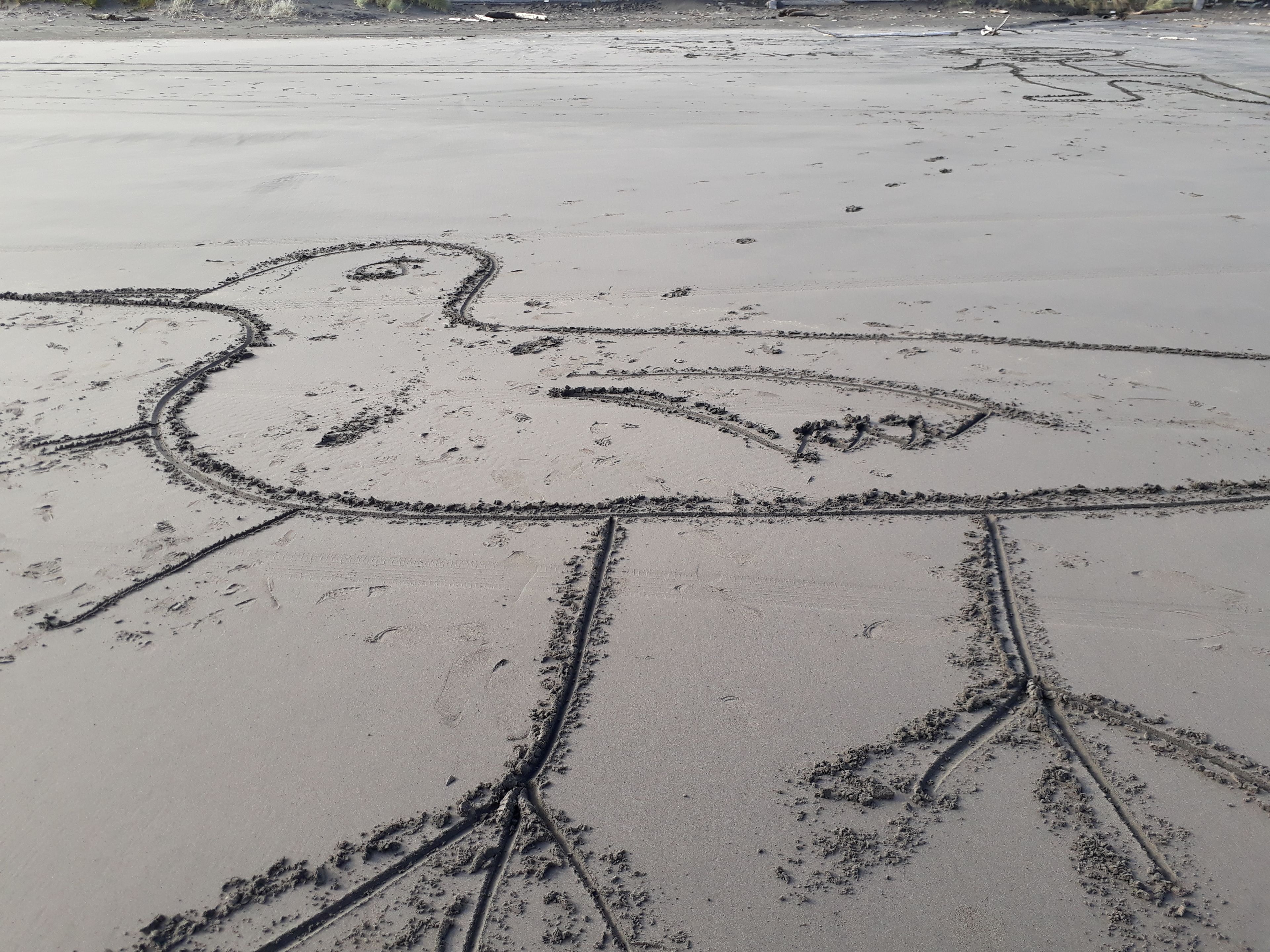 Un dibujo en la arena con forma de pájaro en una playa.