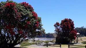 Un parc avec de grands arbres, un espace pique-nique et une vue sur la plage.