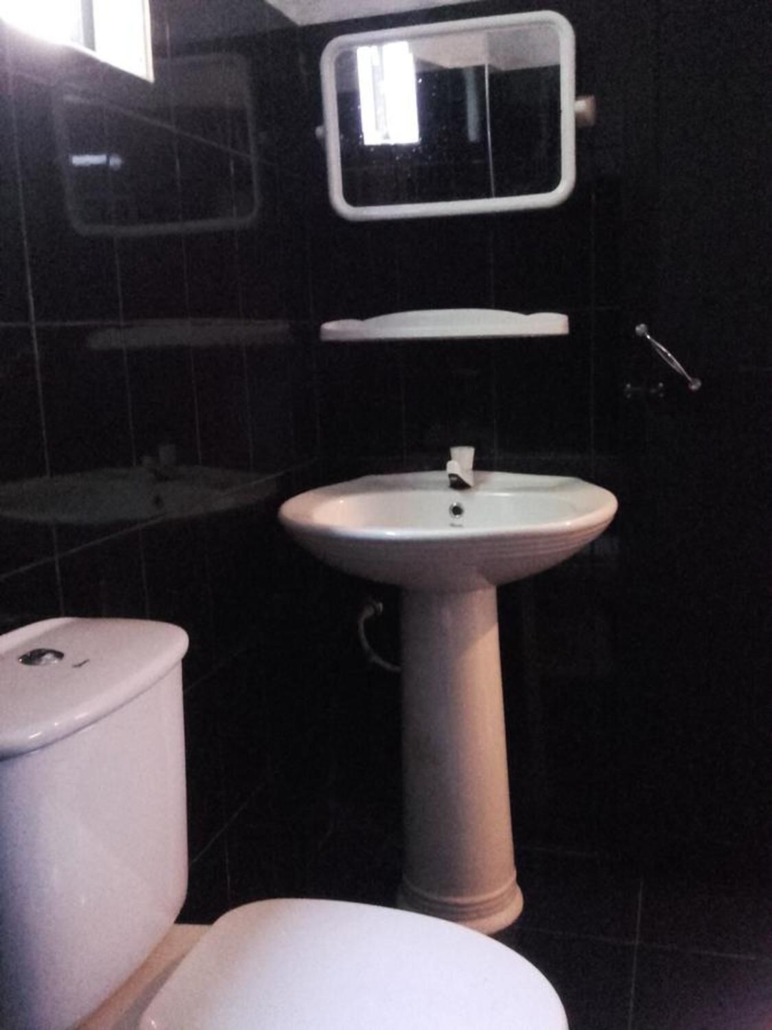 A bathroom with a white toilet, a pedestal sink, and a mirror above the sink.