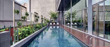 Una piscina interior moderna con un deck de madera, rodeada de follaje y una pared de vidrio.
