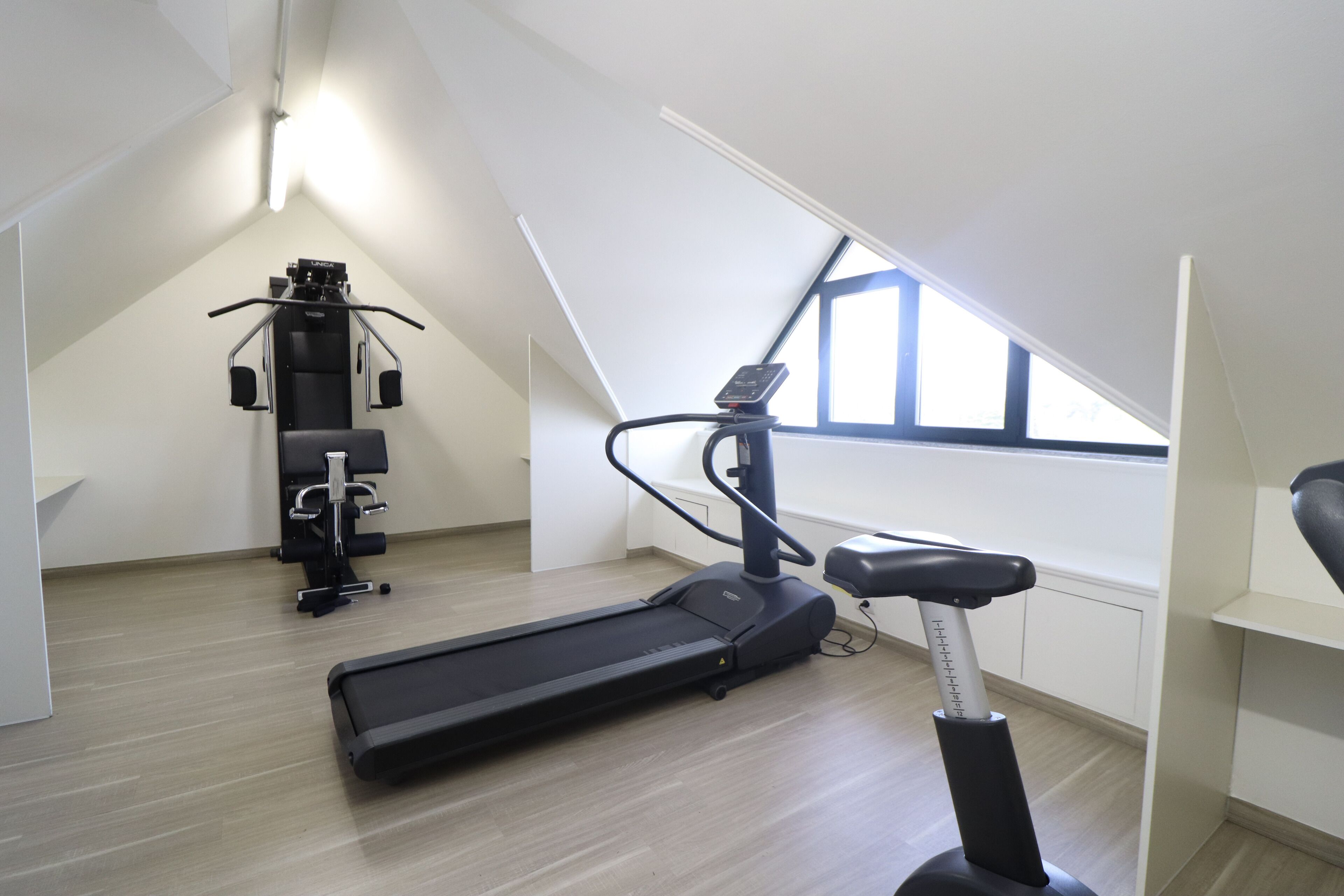 Ein modernes Fitnessstudio mit Laufband, Crosstrainer und Kraftmaschine, ausgestattet mit schrägverlaufender Decke und großen Fenstern.