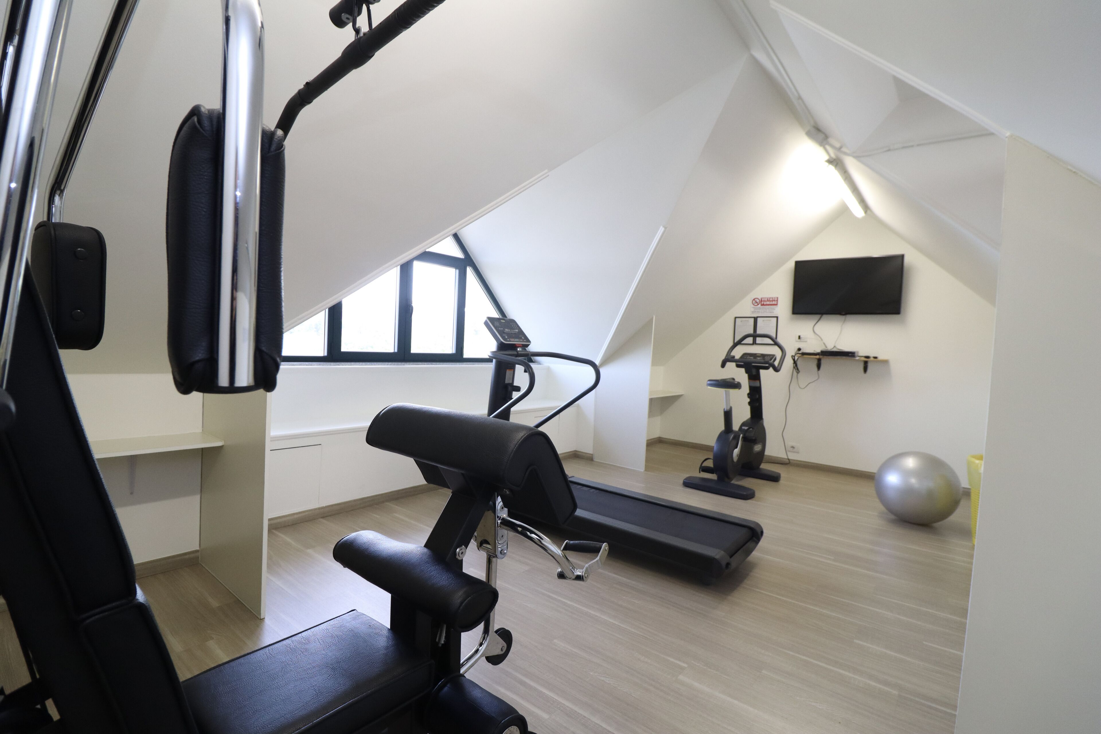 Et moderne fitnesscenter med løbebånd, crosstrainer og træningsbold.
