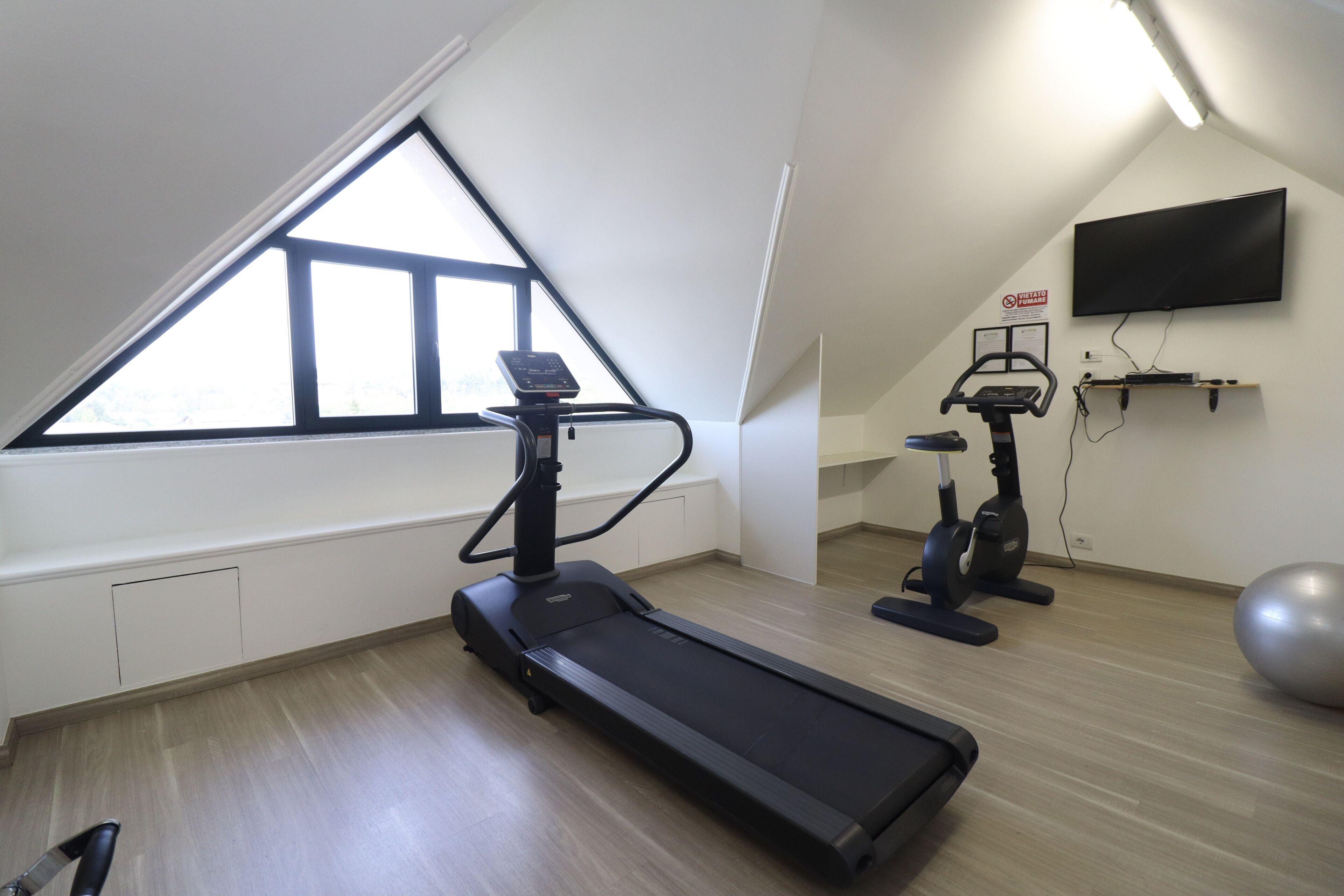 A fitness room with a treadmill, elliptical, and exercise ball, a TV on the wall, and a large window providing natural light.