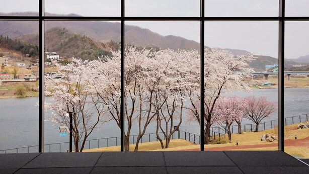 A view through a window with a river, cherry blossoms, and a bridge in the background. - Midas Hotel & Resort (Gapyeong)