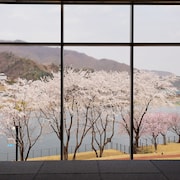 마이다스 호텔 앤 리조트