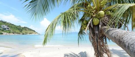 On the beach, sun-loungers, beach umbrellas