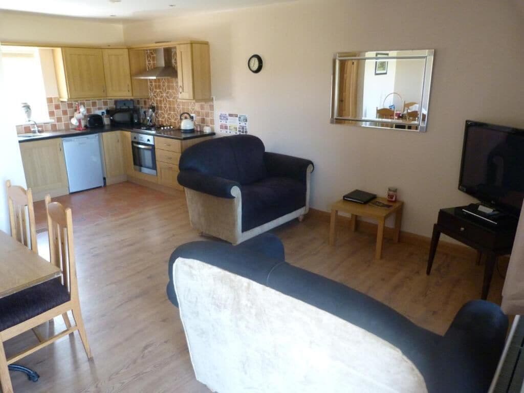 A compact living space with a kitchenette, a sofa, a television, and a dining area.