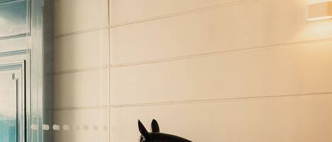 Una estatua de un caballo negro en una habitación con un aparador de madera y una pequeña mesa con un farol.