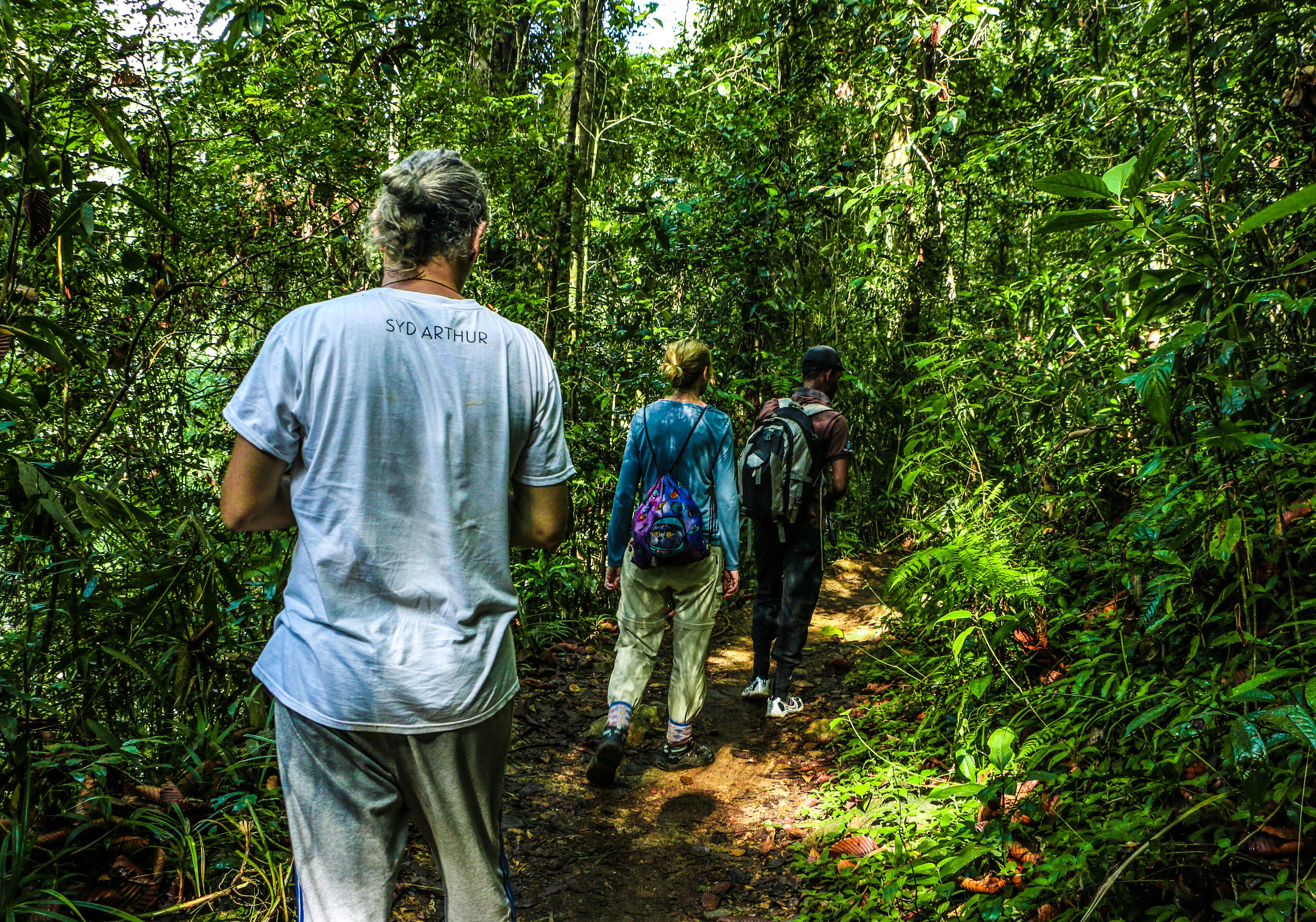A group of people hiking on a forest trail.