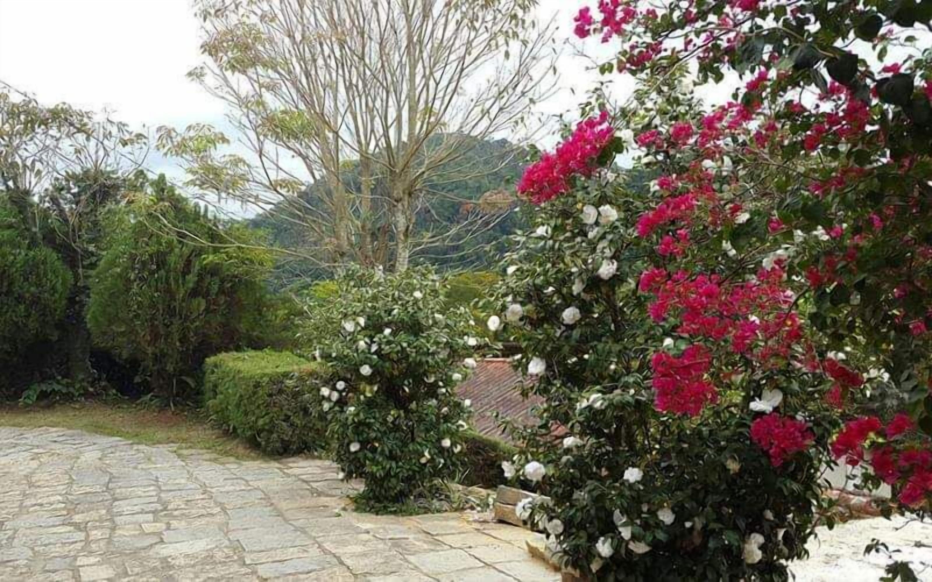 Foto - Pousada Sitio Sossego