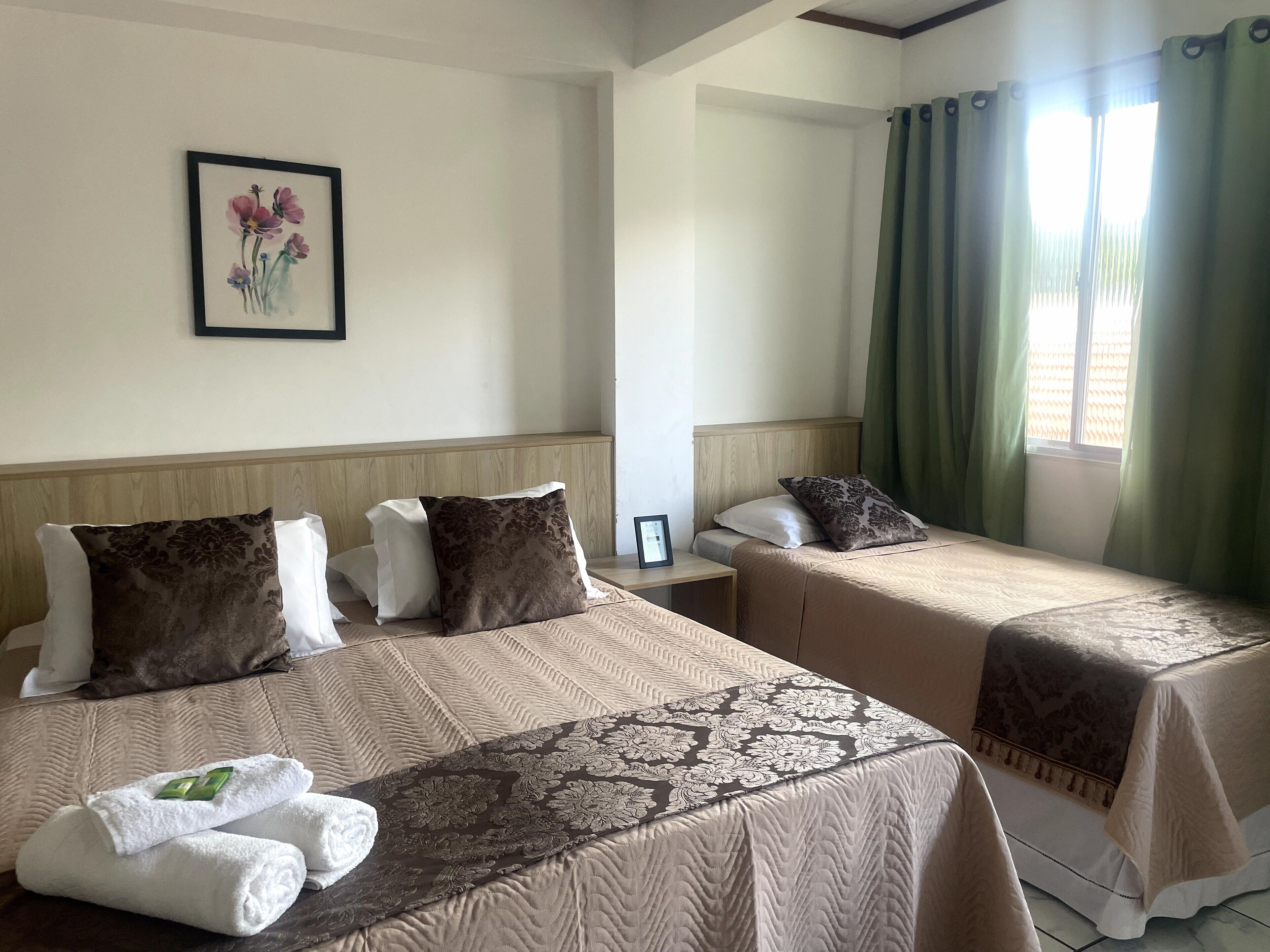 Minibar, tabla de planchar con plancha, wifi gratis y ropa de cama 