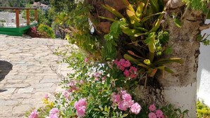 A stone-paved pathway leading to a white building with a green roof. Pink flowers are in bloom along the pathway. - Pousada Sítio Sossego (Petrópolis)