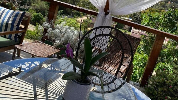 A glass table with a white brush, a wicker chair, and a potted plant. - Pousada Sítio Sossego (Petrópolis)