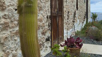 Detalle del exterior