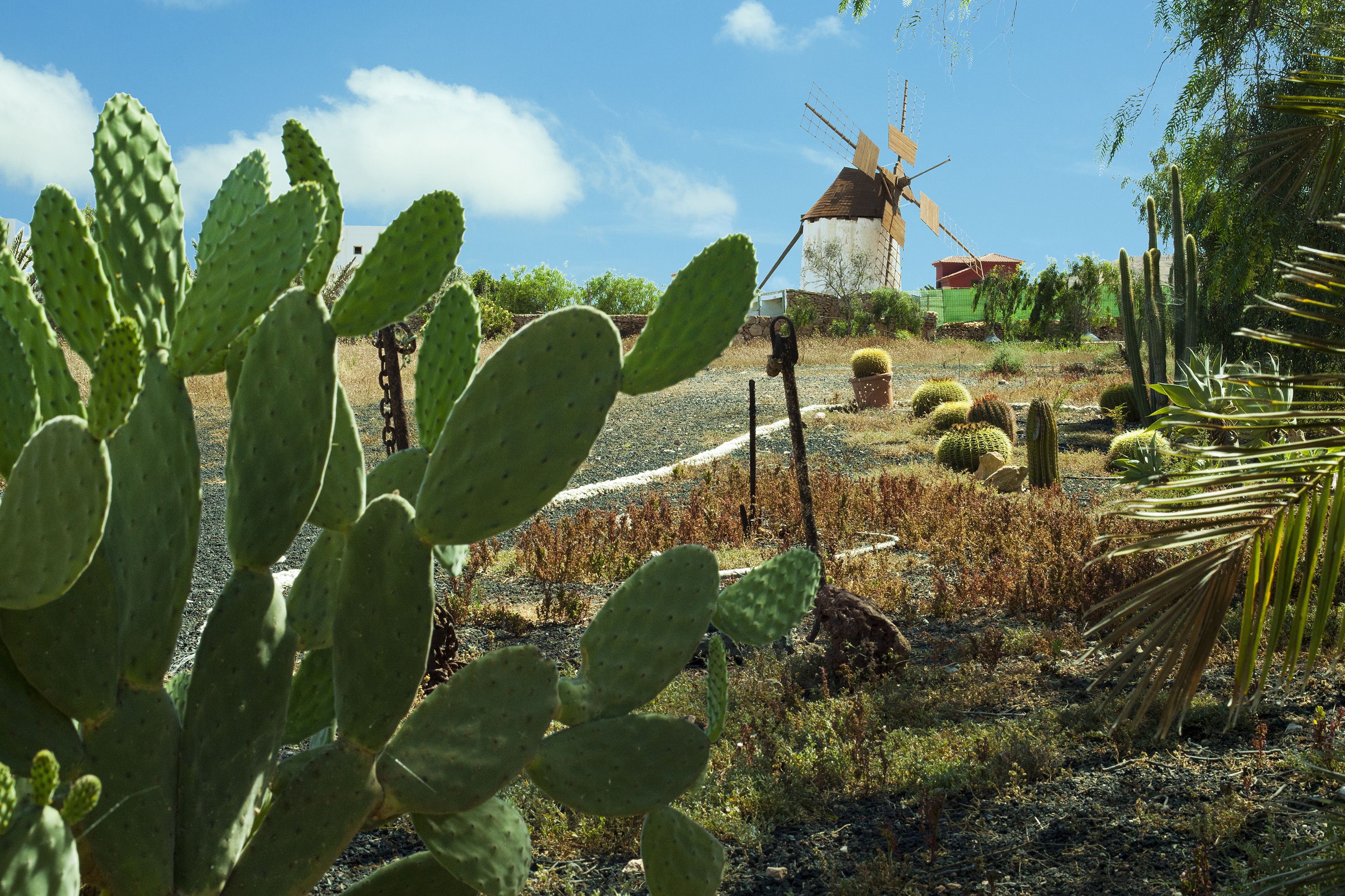 Foto - Hotel Rural Era de la Corte - Adults only