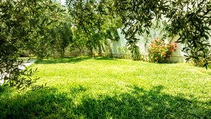 A well-maintained grassy lawn with trees and a wall in the background. - Mahdia Place Apartments (Mahdia)