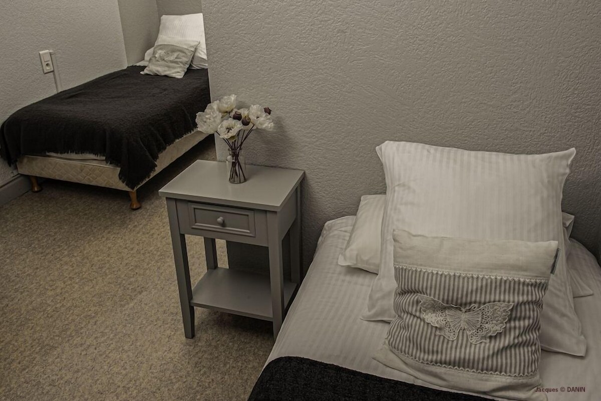 Standard Twin Room