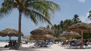 A beach with palm trees, thatched umbrellas, and sun loungers. - The Sanctuary at Los Corales (Punta Cana)