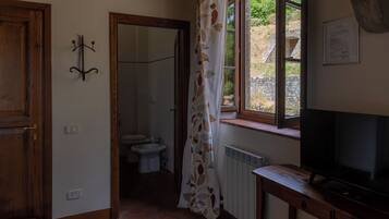 A bathroom with a toilet, bidet, and shower area. There is a window with a curtain, a wooden door, and a television on a wooden stand.