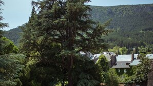 A swimming pool with lounge chairs, surrounded by well-manicured lawns and tall trees. - Grand Hôtel du Parc (Florac)