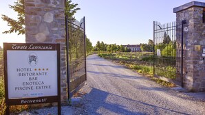 Uklassifisert bilde, 4 av 24, knapp