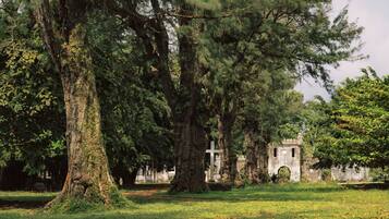 A cemetery with large trees and a stone cross.