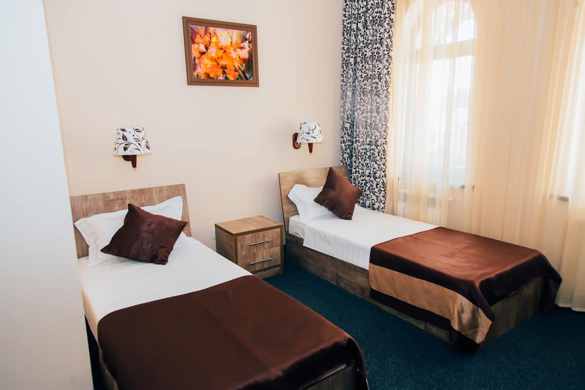 Standard Twin Room | Desk, iron/ironing board (on request), rollaway beds (surcharge)