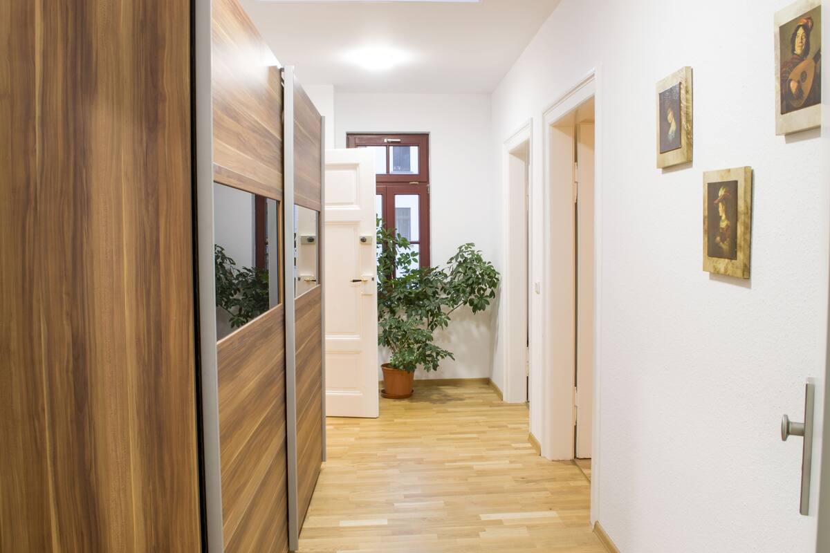 A hallway with wooden flooring, white walls, and a potted plant.