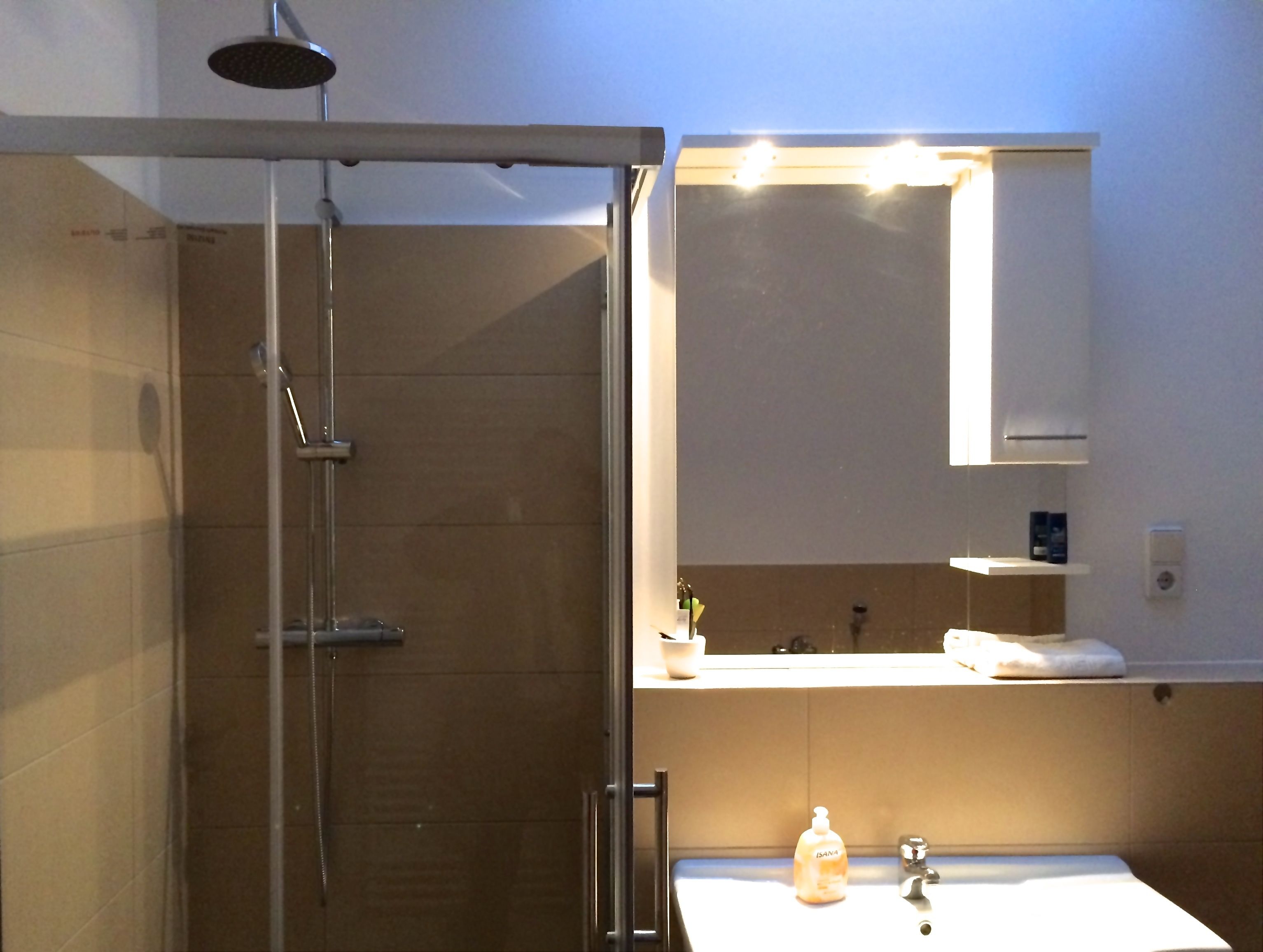 A modern bathroom with a glass-enclosed shower, a sink with a mirror above, and a shelf with toiletries.