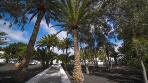 A pathway lined with palm trees and a clear sky. - Delmás Hotel Emblemático (Haria)