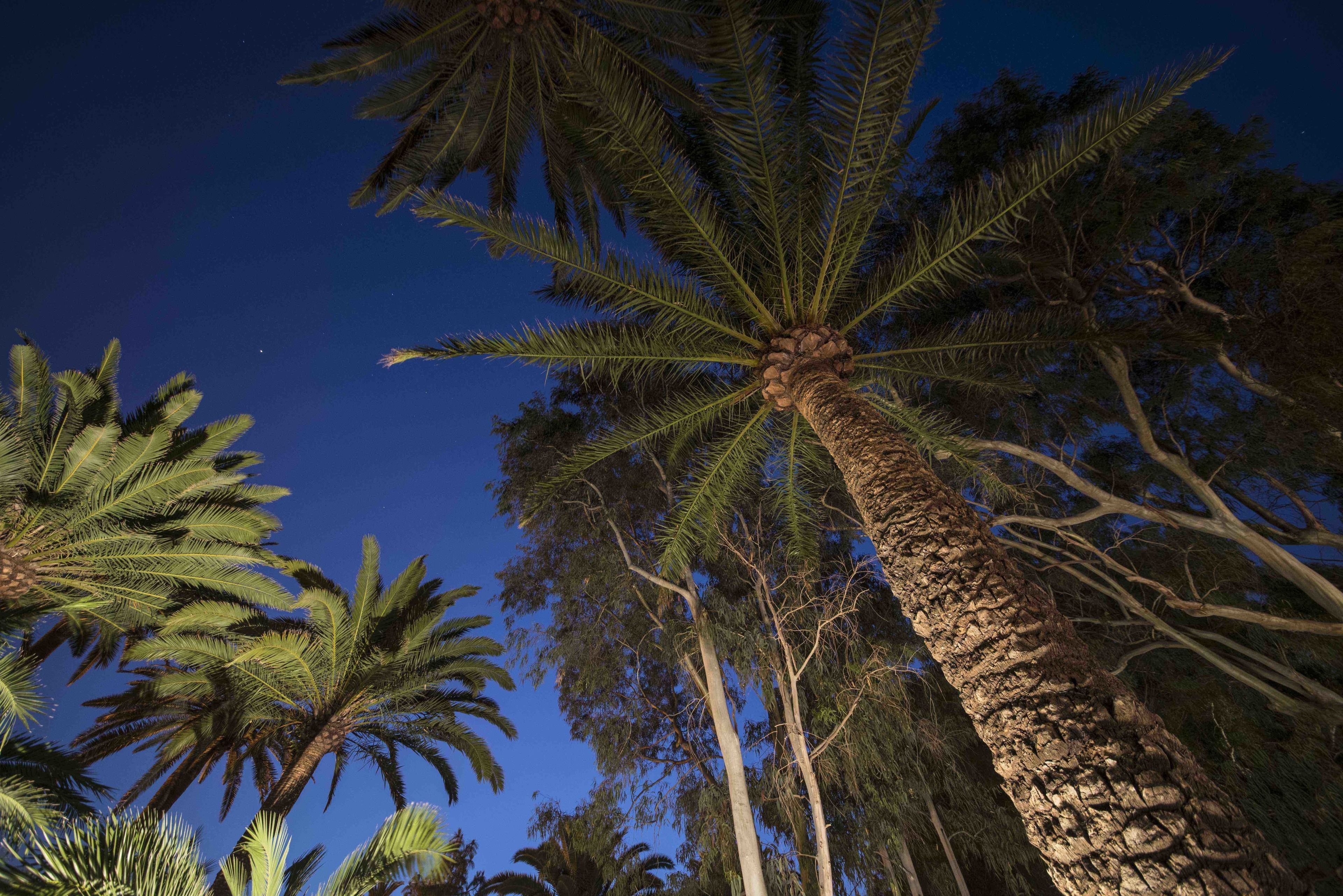 Foto - Delmás Hotel Emblemático