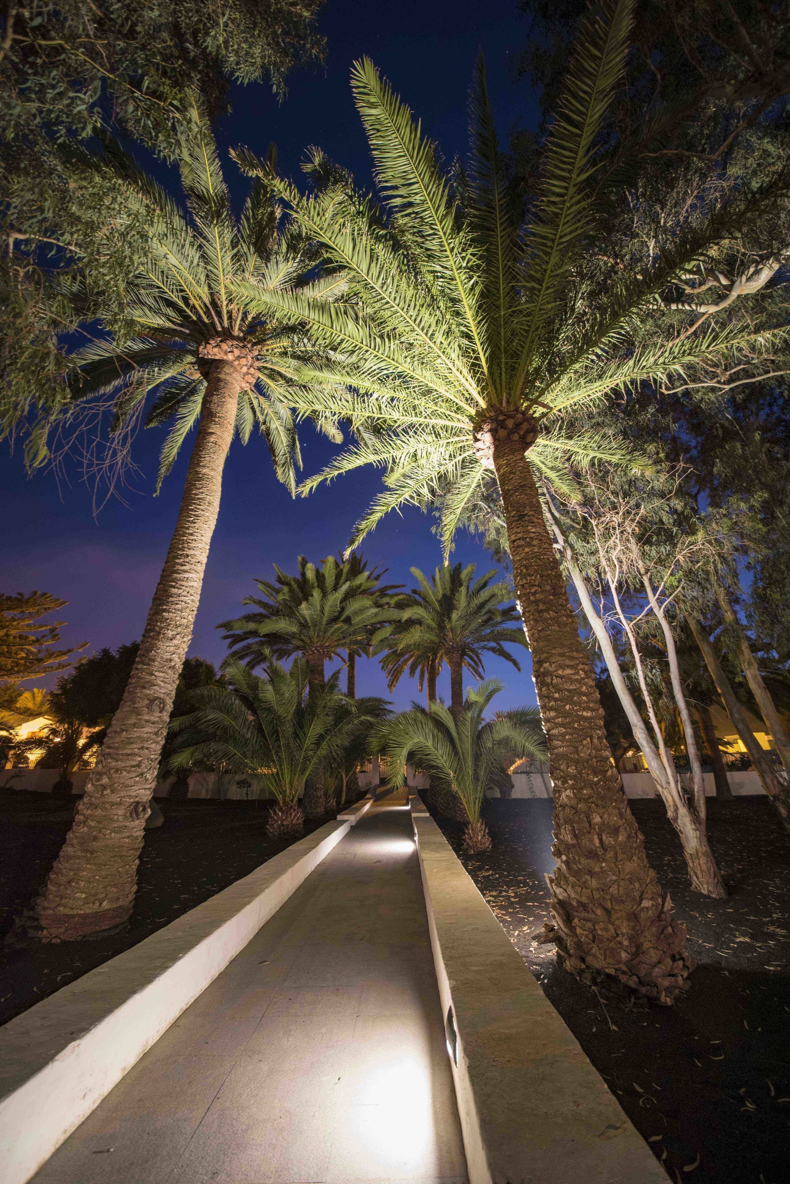 Foto - Delmás Hotel Emblemático