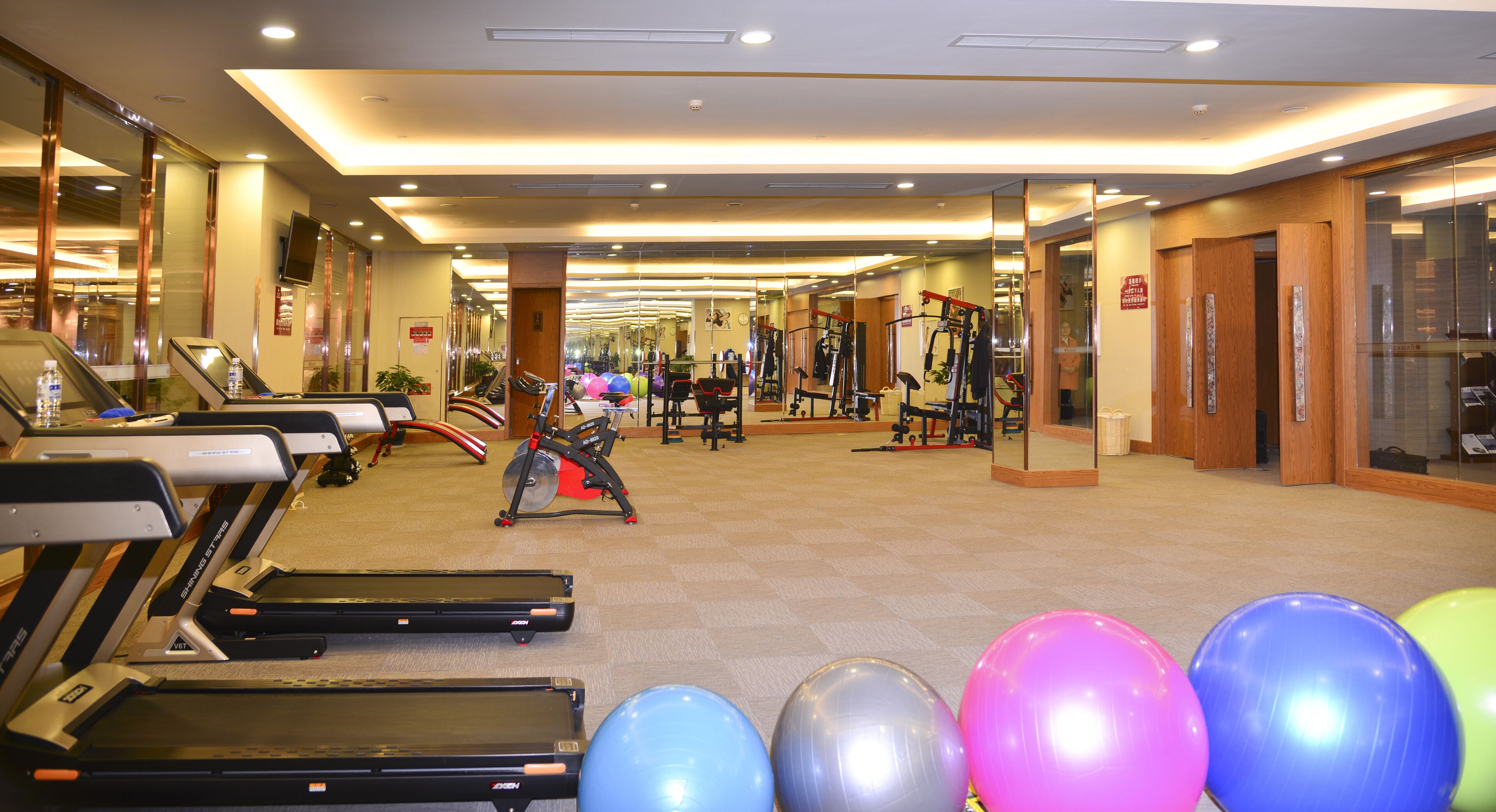 Un gimnasio con cintas de correr, pelotas de ejercicio y máquinas de pesas.