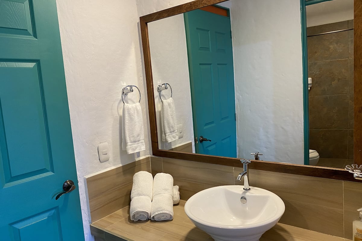 shower, free toiletries, hair dryer, towels