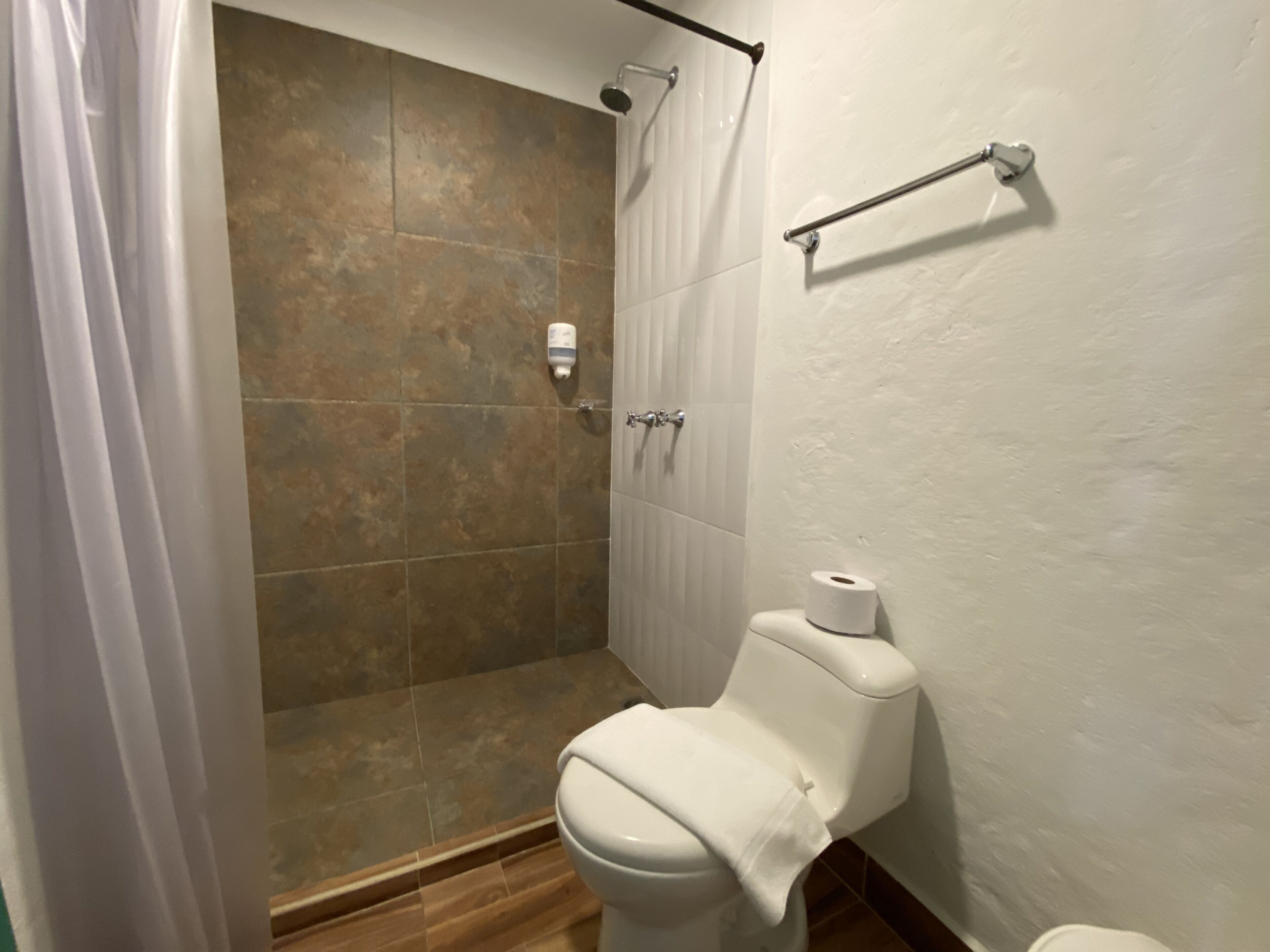 shower, free toiletries, hair dryer, towels