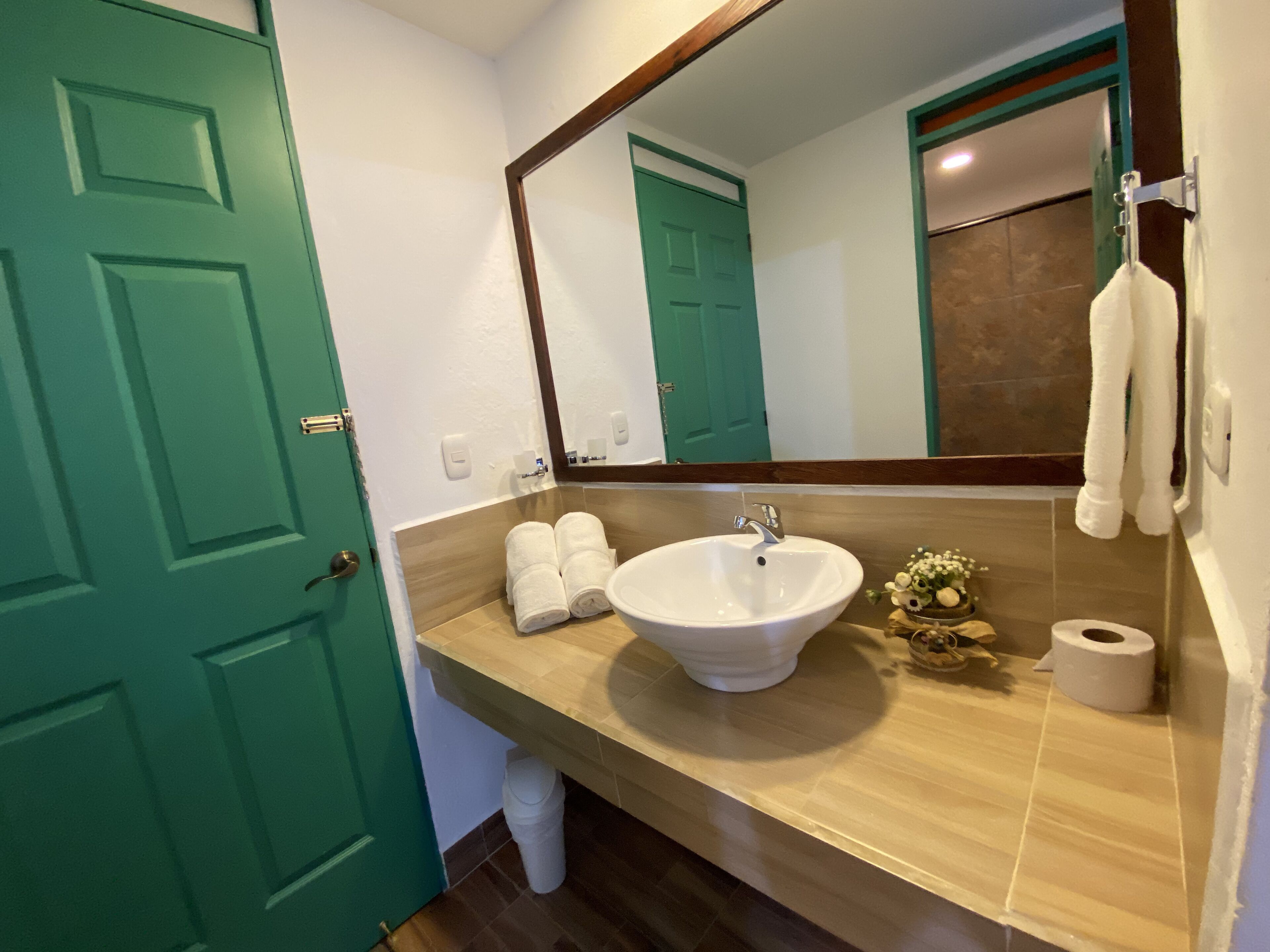 shower, free toiletries, hair dryer, towels