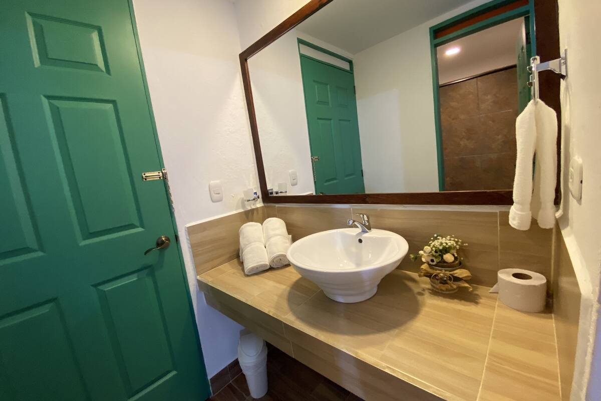 shower, free toiletries, hair dryer, towels