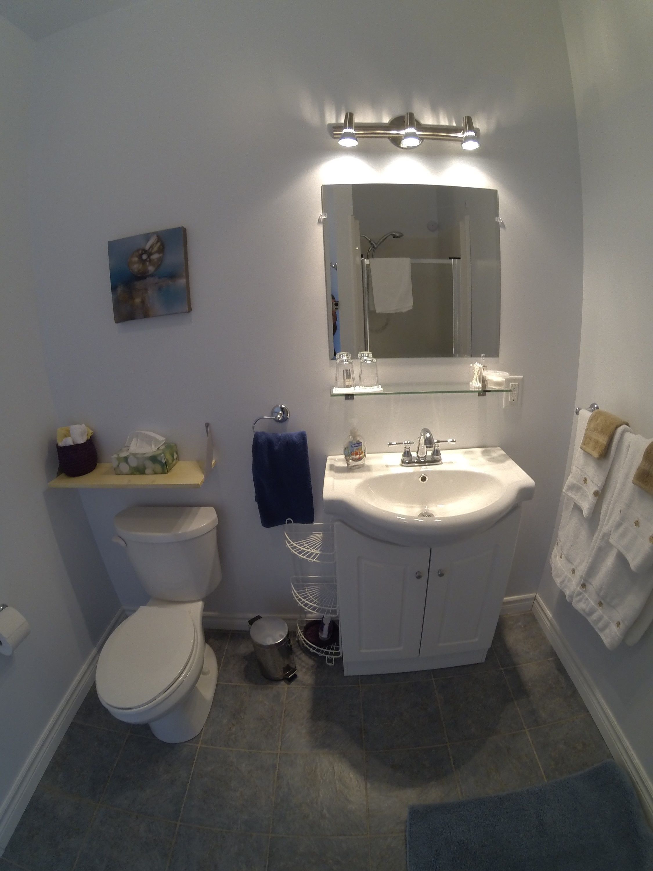 Un bagno con servizi igienici, lavandino e specchio. È presente un portascopevoli con asciugamani, uno scaffale con articoli da toilette e un piccolo cestino.